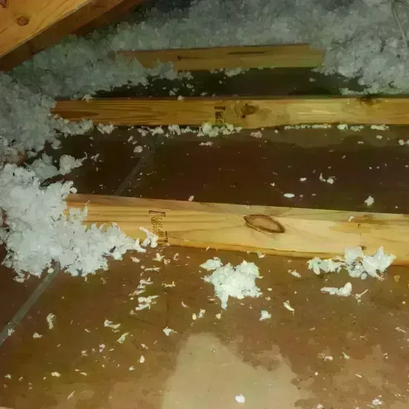 Attic Water Damage in Hewlett, NY