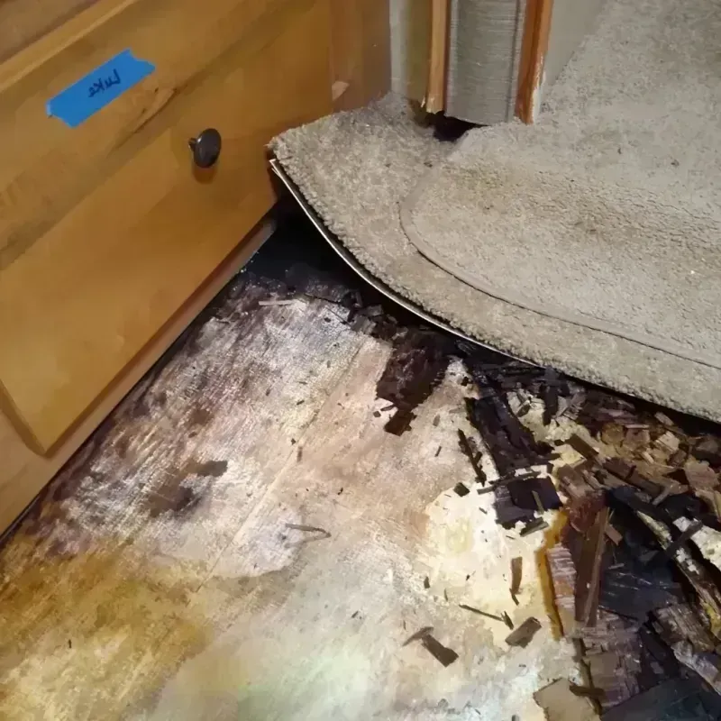 Best Wood Floor Water Damage Service in Hewlett, NY